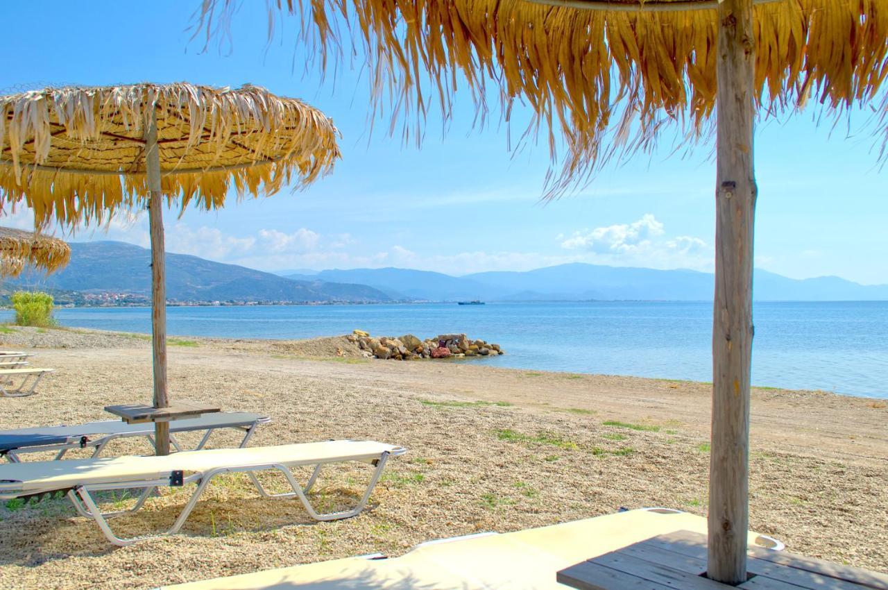 Epipleon Luxury Suites -104- Δωμάτιο 35Τμ Με Βεράντα 35Τμ Μπροστά Στη Θάλασσα นาฟปาคตอส ภายนอก รูปภาพ